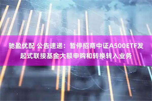 驰盈优配 公告速递：暂停招商中证A500ETF发起式联接基金大额申购和转换转入业务