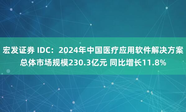 宏发证券 IDC:2024年中国医疗应用软件解决方案总体市场规模230.3亿元 同比增长11.8%