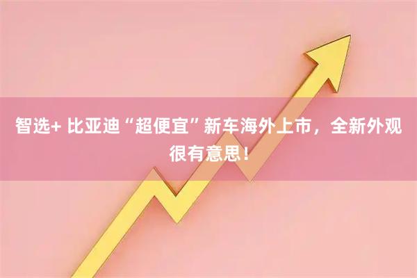 智选+ 比亚迪“超便宜”新车海外上市,全新外观很有意思!
