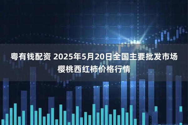 粤有钱配资 2025年5月20日全国主要批发市场樱桃西红柿价格行情