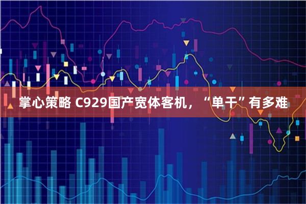 掌心策略 C929国产宽体客机,“单干”有多难