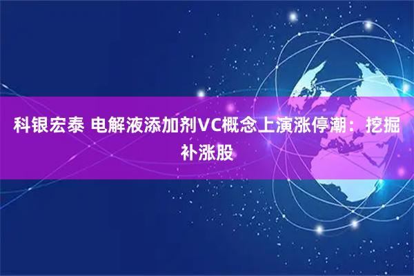 科银宏泰 电解液添加剂VC概念上演涨停潮：挖掘补涨股