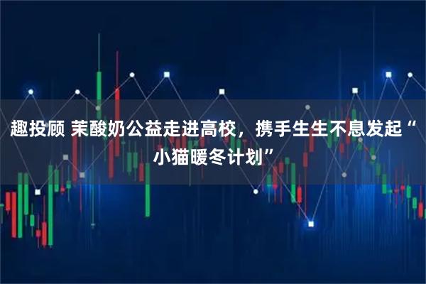 趣投顾 茉酸奶公益走进高校，携手生生不息发起“小猫暖冬计划”